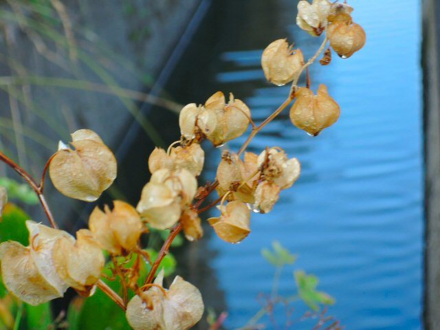 f0373109_14282078.jpg