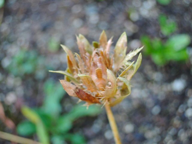 f0373109_14283829.jpg