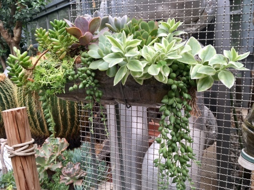 d0179410_15153211.jpeg