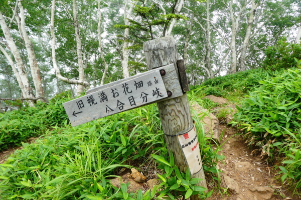 d0170615_16572444.jpg