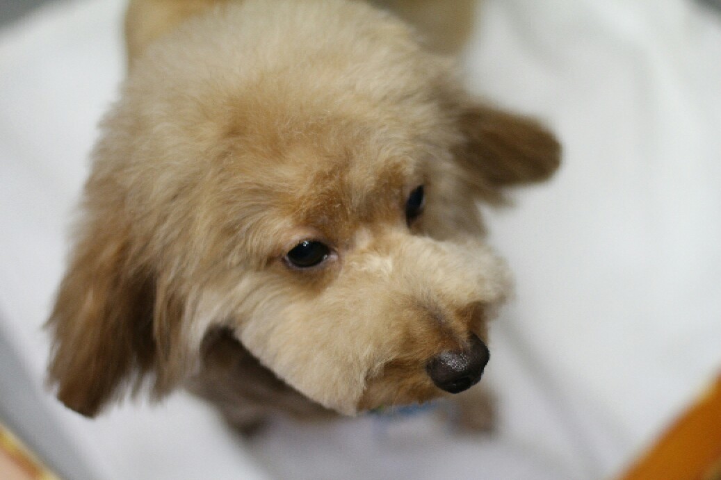 8月11日にご来店のお客様です！！_b0130018_23010955.jpg