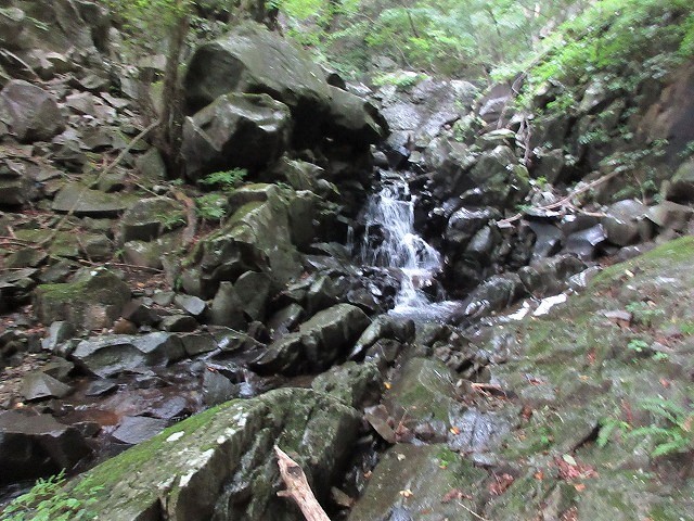 前橋市　赤城山の沼尾川源流はオタカラコウの群生地　　　　　Stream Climbing in Numaogawa, Maebashi, Gunma_f0308721_04251881.jpg