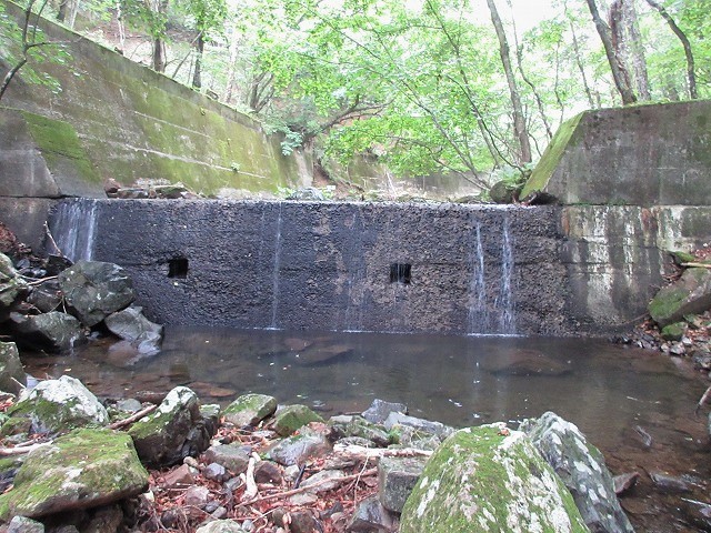 前橋市　赤城山の沼尾川源流はオタカラコウの群生地　　　　　Stream Climbing in Numaogawa, Maebashi, Gunma_f0308721_04280179.jpg