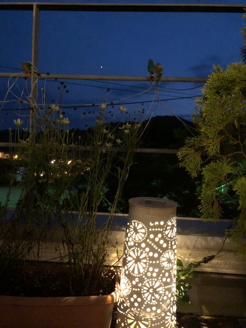 b0299722_23410266.jpg