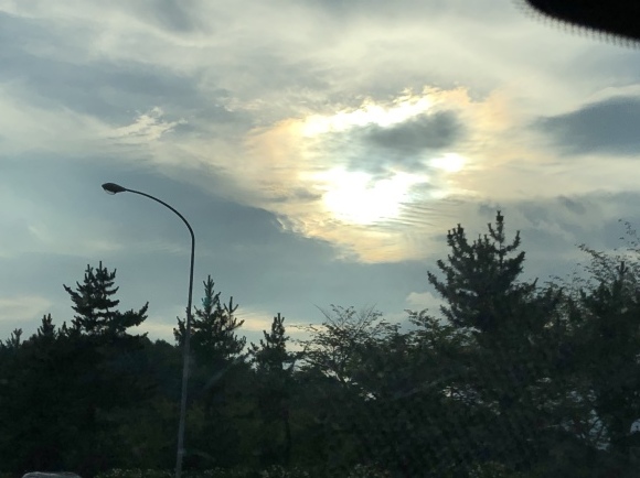 b0164428_00231792.jpeg