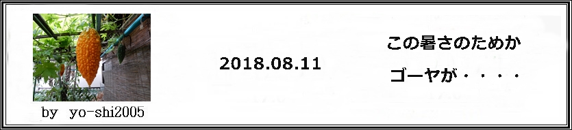 e0033229_18223229.jpg