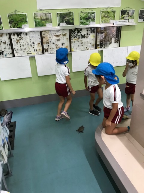 f0177529_06304354.jpeg