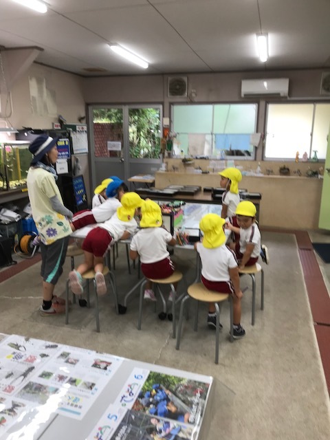 f0177529_06314109.jpeg