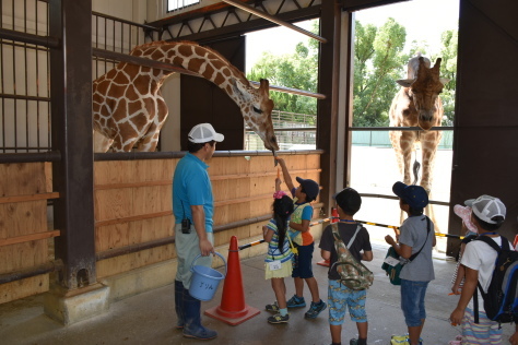 【報告】動物園ウォークラリー＆ホッキョクグマに氷のプレゼント！_a0116430_14210709.jpg