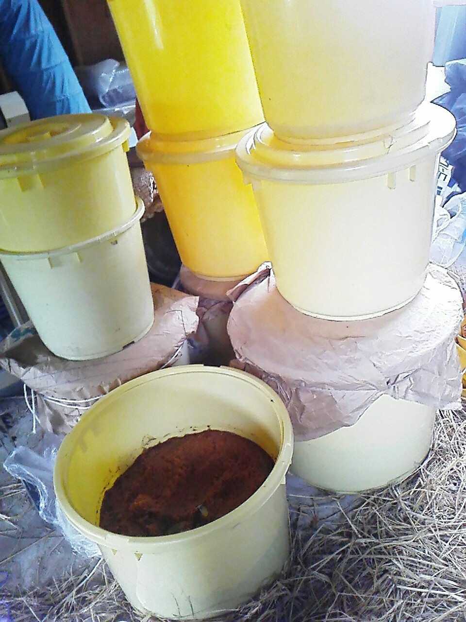c0280730_10312774.jpg