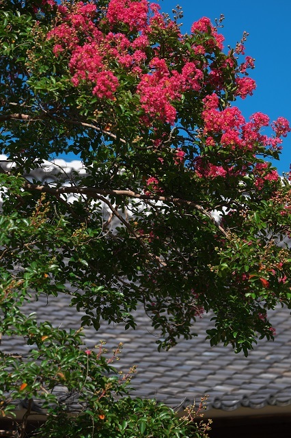 b0230131_11502422.jpg