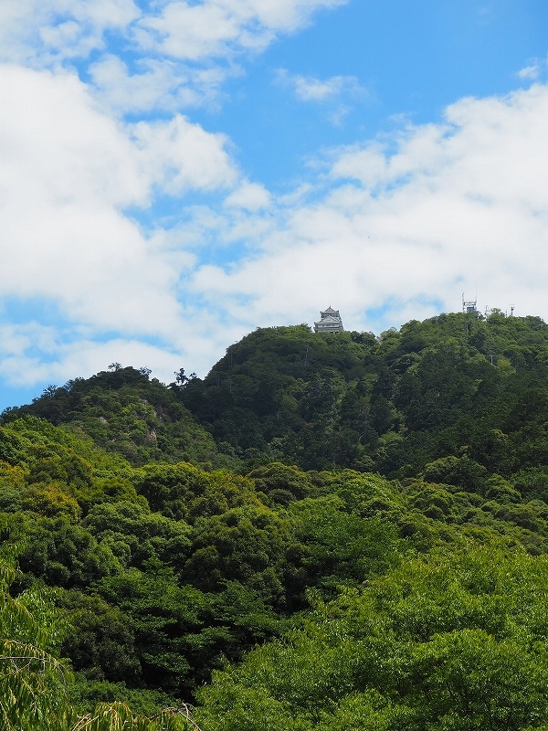天空の城? 金華山 岐阜城でござる。_e0374932_07321406.jpg