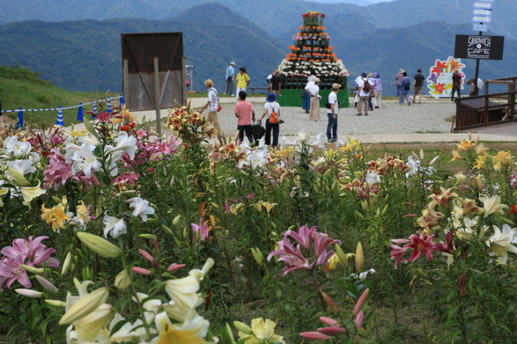 青春18切符の旅ハンターマウンテンゆりパークその１_f0229832_23280717.jpg