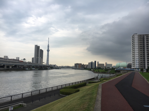 d0011635_17284519.jpg