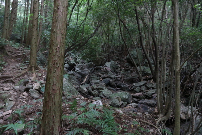 e0272335_17501198.jpg