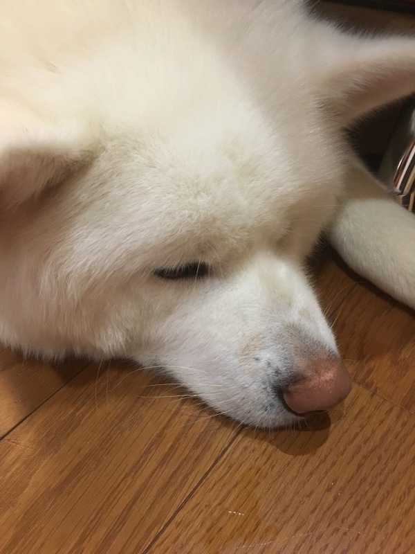 e0364035_01171174.jpeg