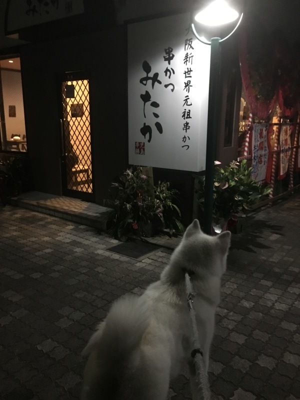 e0364035_01241378.jpeg