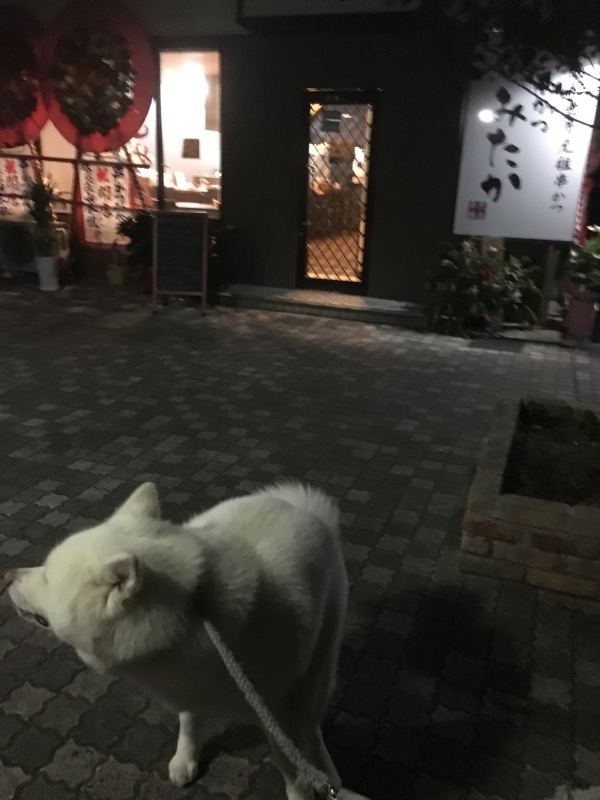 e0364035_01250897.jpeg