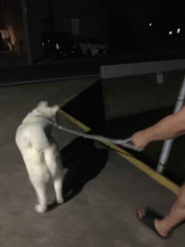 e0364035_02241477.jpeg