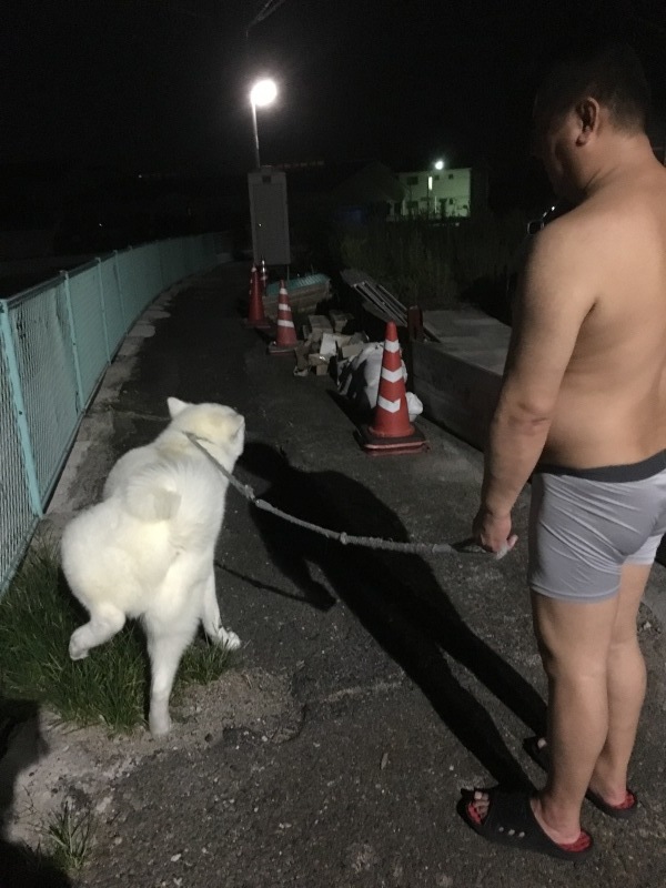 e0364035_02295239.jpeg