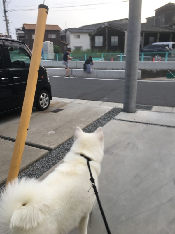 e0364035_20044815.jpeg