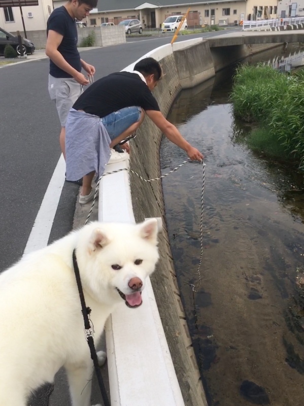 e0364035_20110568.jpeg