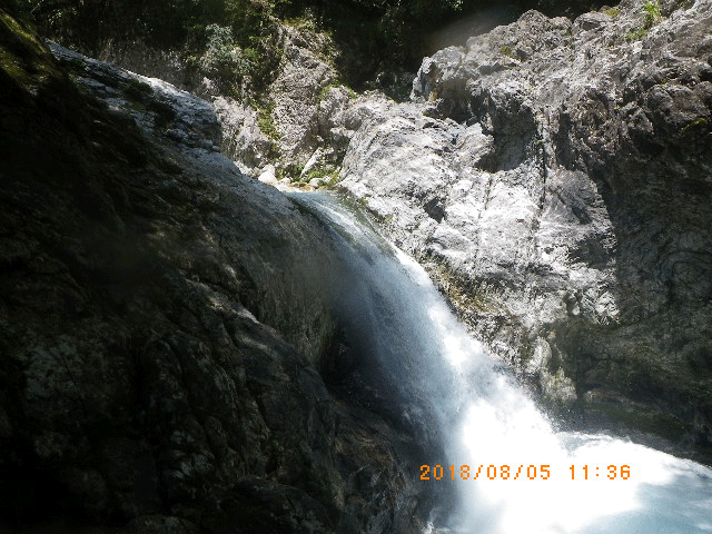 e0371039_6585435.gif