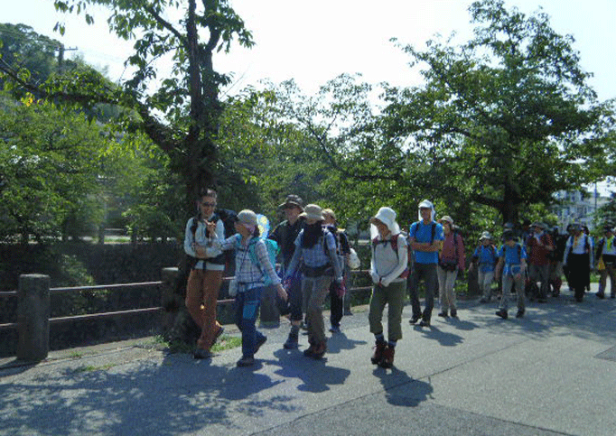 e0371039_773166.gif