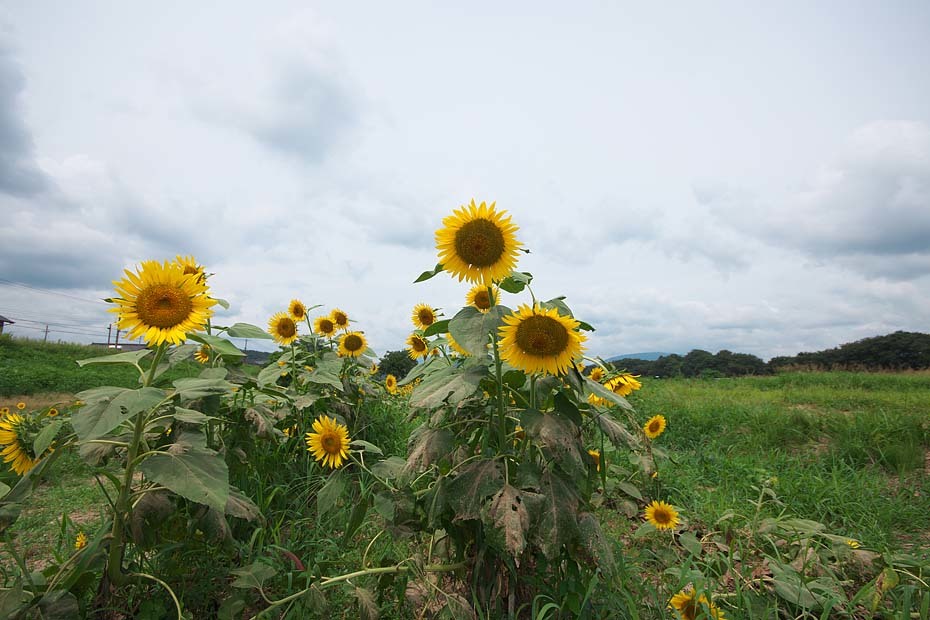 c0067040_23152521.jpg
