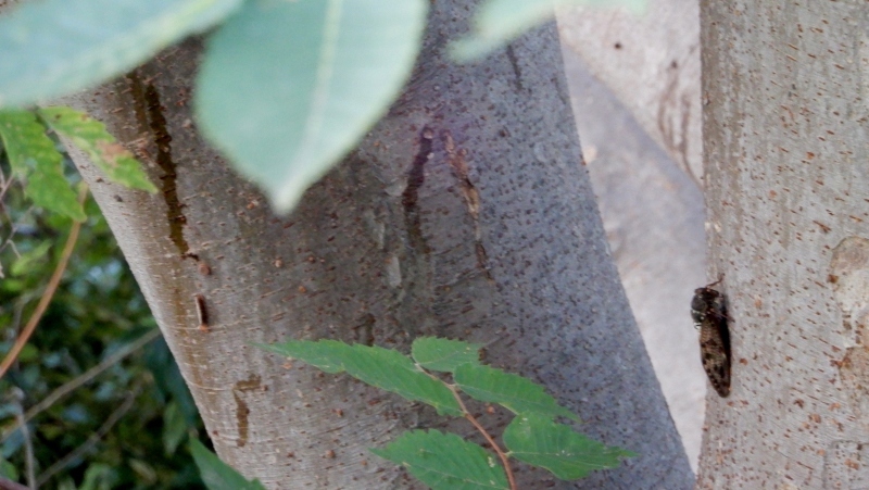 f0374041_06441374.jpg