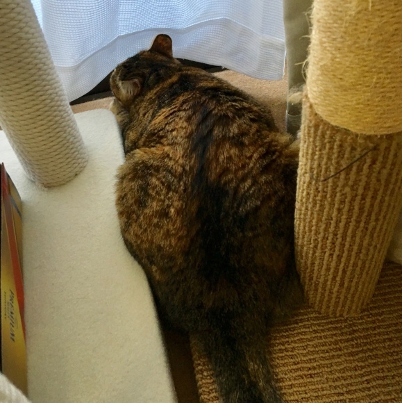f0372445_08141724.jpeg
