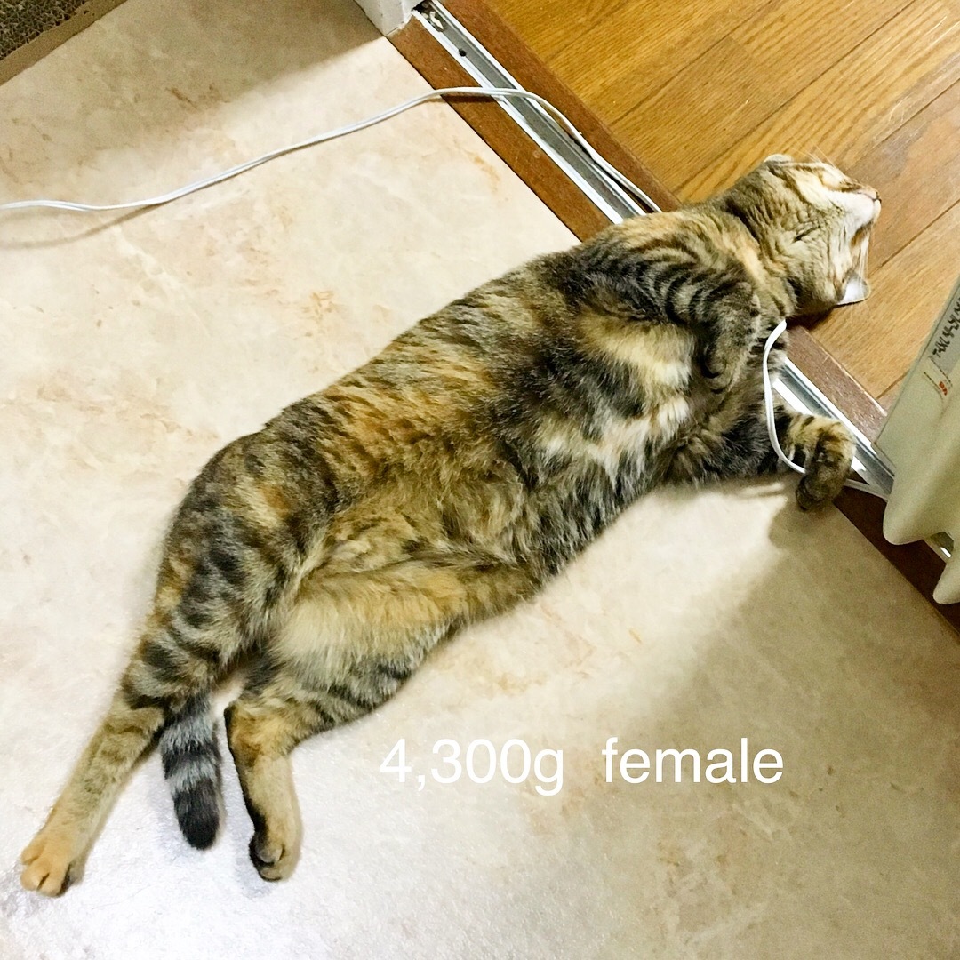 f0372445_08215105.jpeg