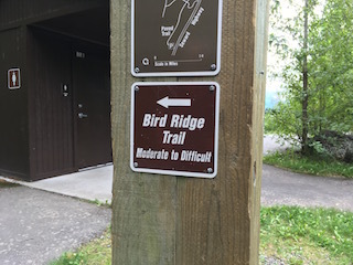 バードリッジトレイル　Bird Ridge Trail_b0135948_16350967.jpg