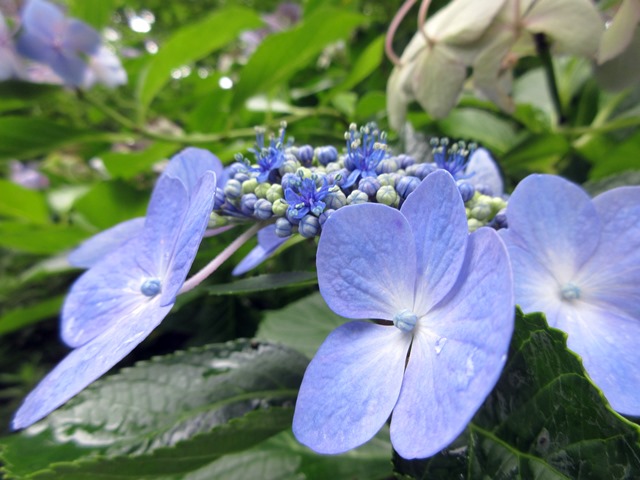 b0009849_1013577.jpg
