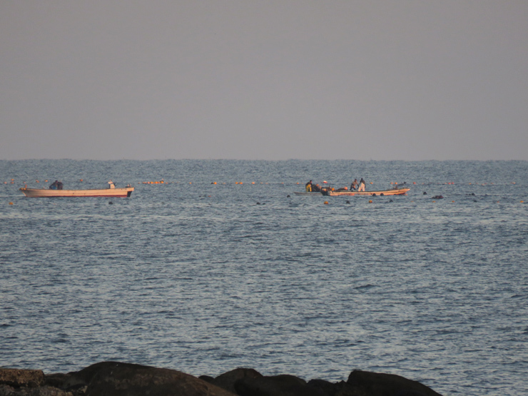 f0214649_03591190.jpg