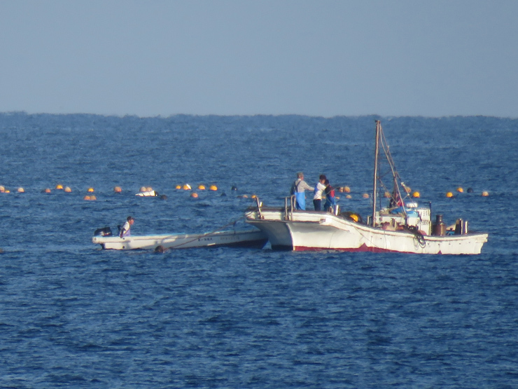 f0214649_04074385.jpg