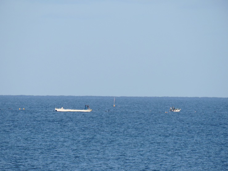 f0214649_04075040.jpg