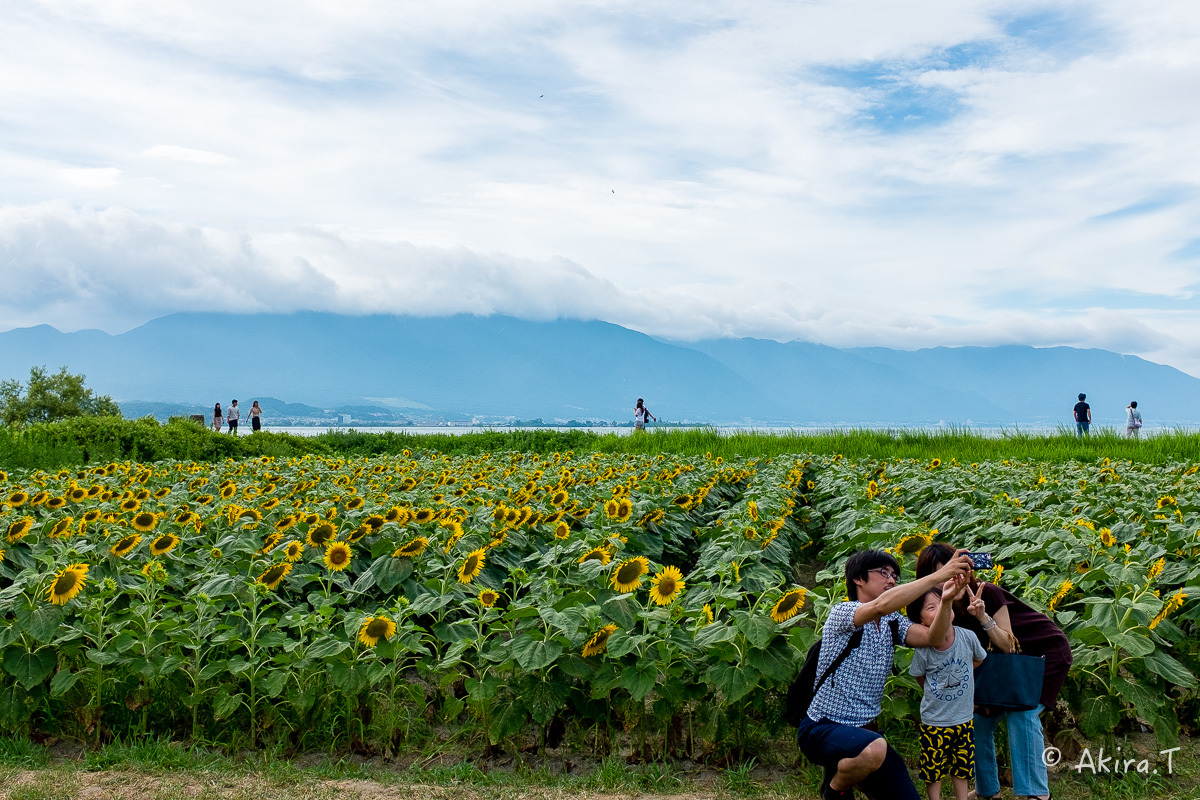 向日葵 2018 -2-_f0152550_22485593.jpg