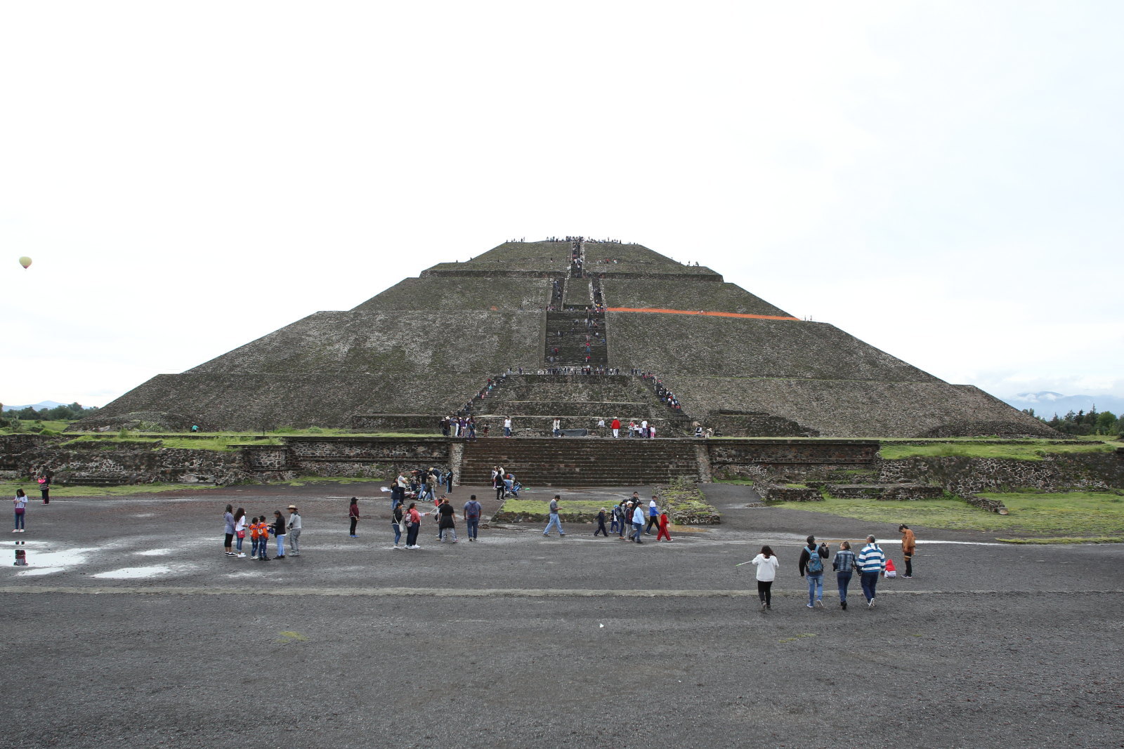 メキシコシティの街の蝶、蝶園の蝶（Mexico City, Mexico、20180805）_f0345350_12325766.jpg