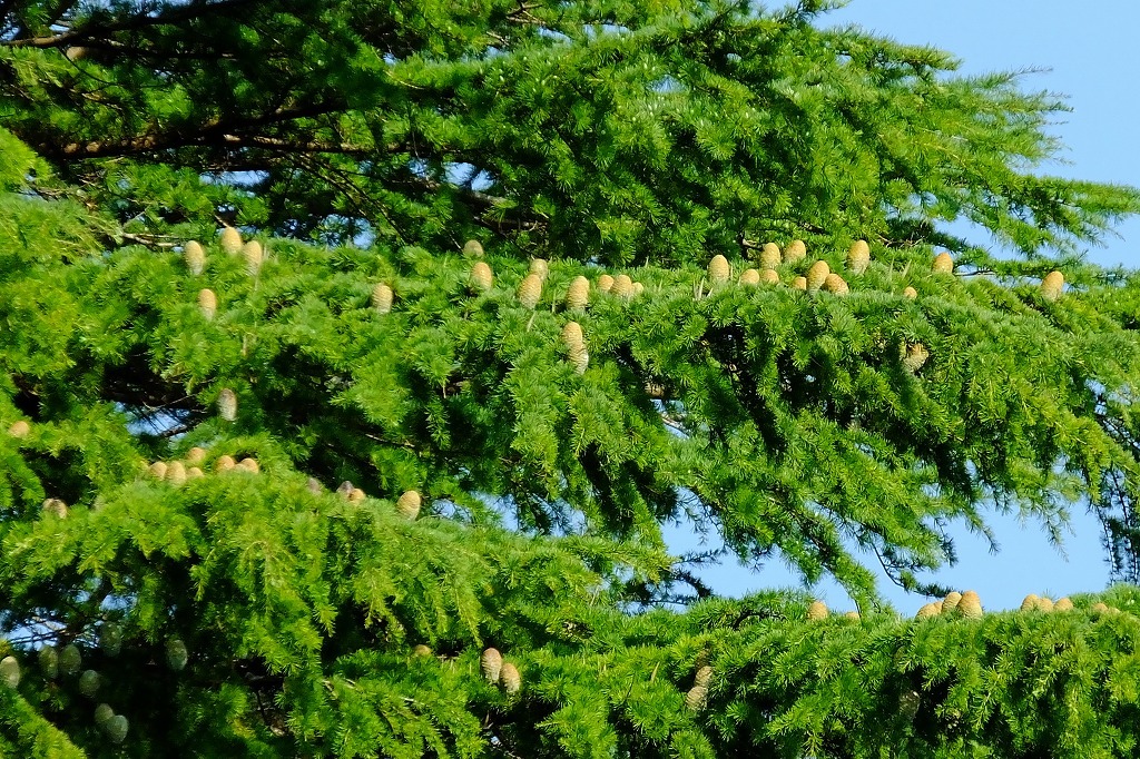 b0236251_11125247.jpg