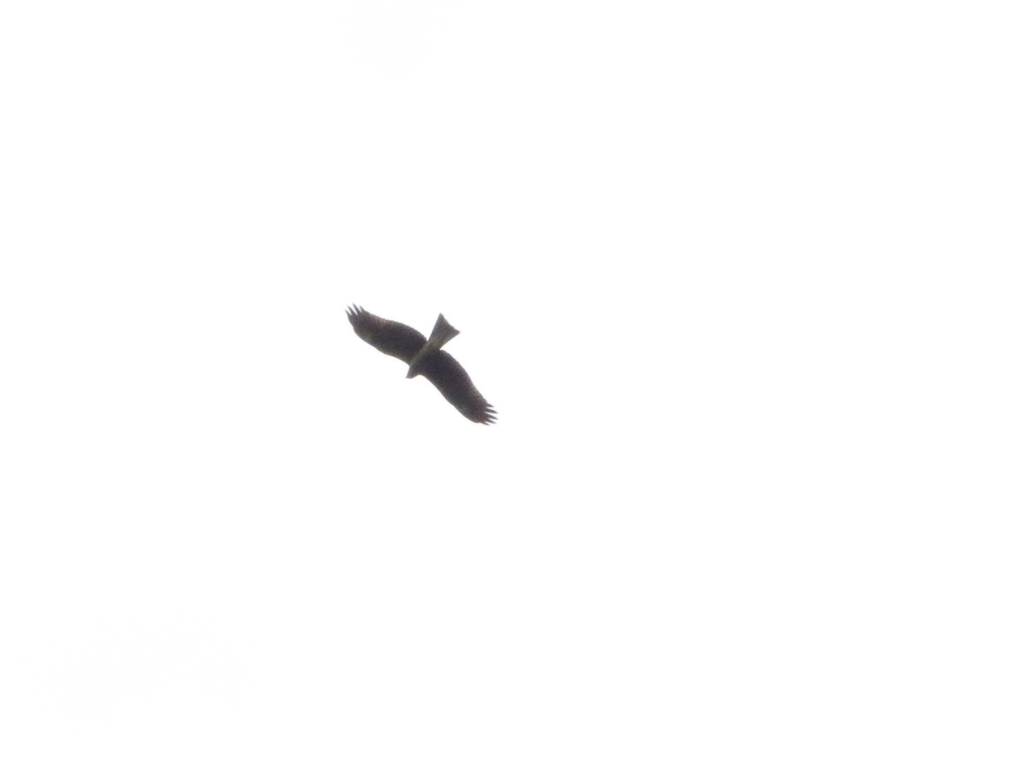a0018655_09194535.jpg