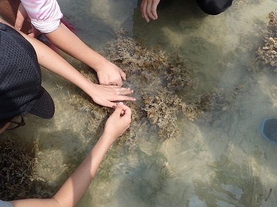 c0180460_23414947.jpg