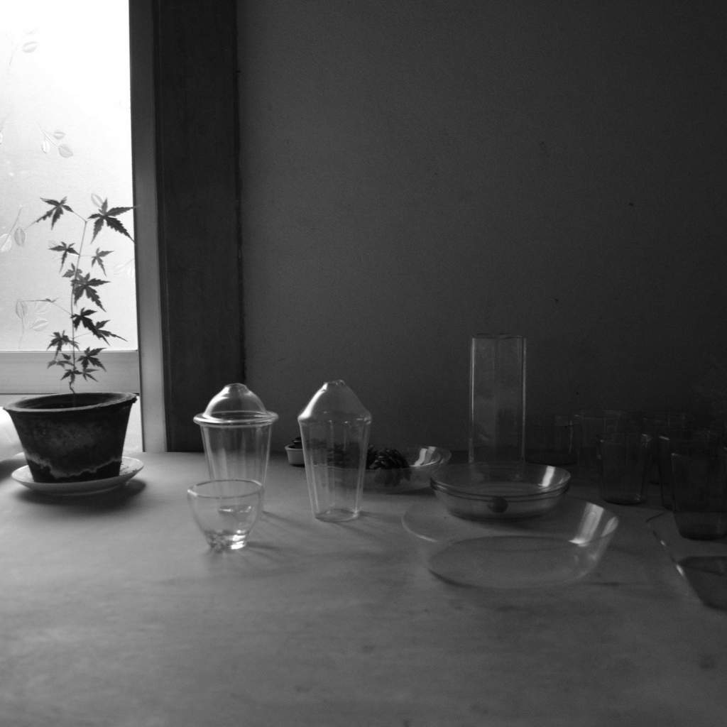 d0087761_16432335.jpg