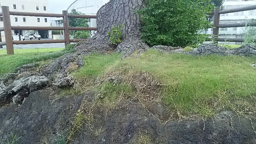 d0052263_13065721.jpg