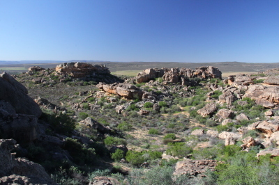 f0362263_17330785.jpeg