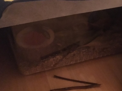 a0295764_09194742.jpeg