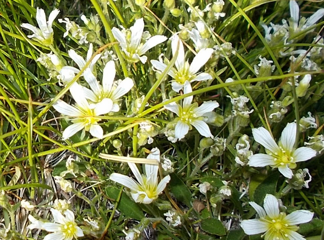c0219866_07395862.jpg