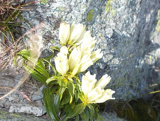 c0219866_07401321.jpg