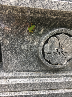 f0363168_08213468.png