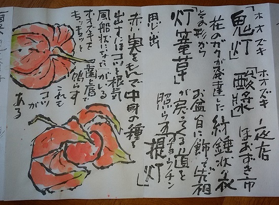 身近な難読漢字 ほおずき 絵手紙の小窓